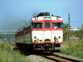 tamba